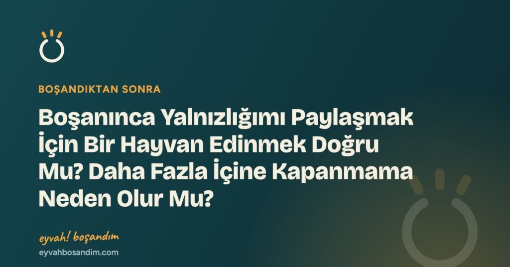 Boşanınca Yalnızlığımı Paylaşmak İçin Bir Hayvan Edinmek Doğru Mu? Daha Fazla İçine Kapanmama Neden Olur Mu? — Eyvah Boşandım